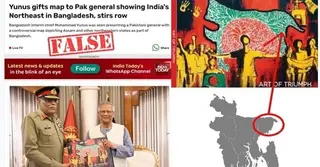 বিকৃত মানচিত্র নয়, পাকিস্তানি জেনারেলকে গ্রাফিতির বই উপহার দেয়া হয়েছে: সিএ প্রেস উইং